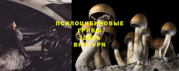 прущие крисы Алзамай